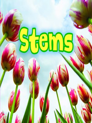 cover image of All about Stems